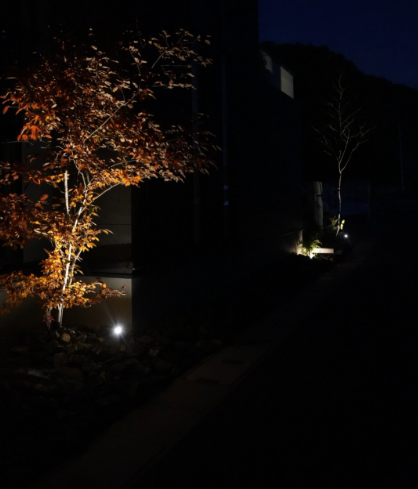#ひのき住宅 タグ付 Instagram 庭木のライトアップ