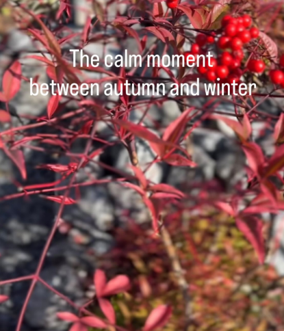 #ひのき住宅 タグ付 Instagram 季節がゆっくり冬に変わる音。