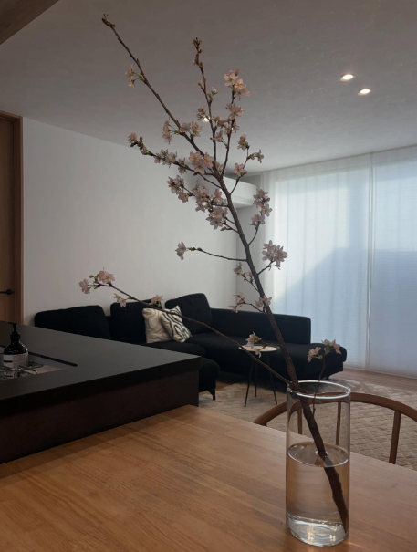 #ひのき住宅 タグ付 Instagram 満開🌸