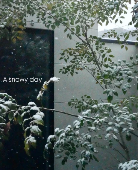 #ひのき住宅 タグ付 Instagram A snowy day.  先日の雪の記録🎞️❄️💫