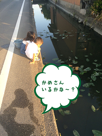 渡邉甥っ子成長記