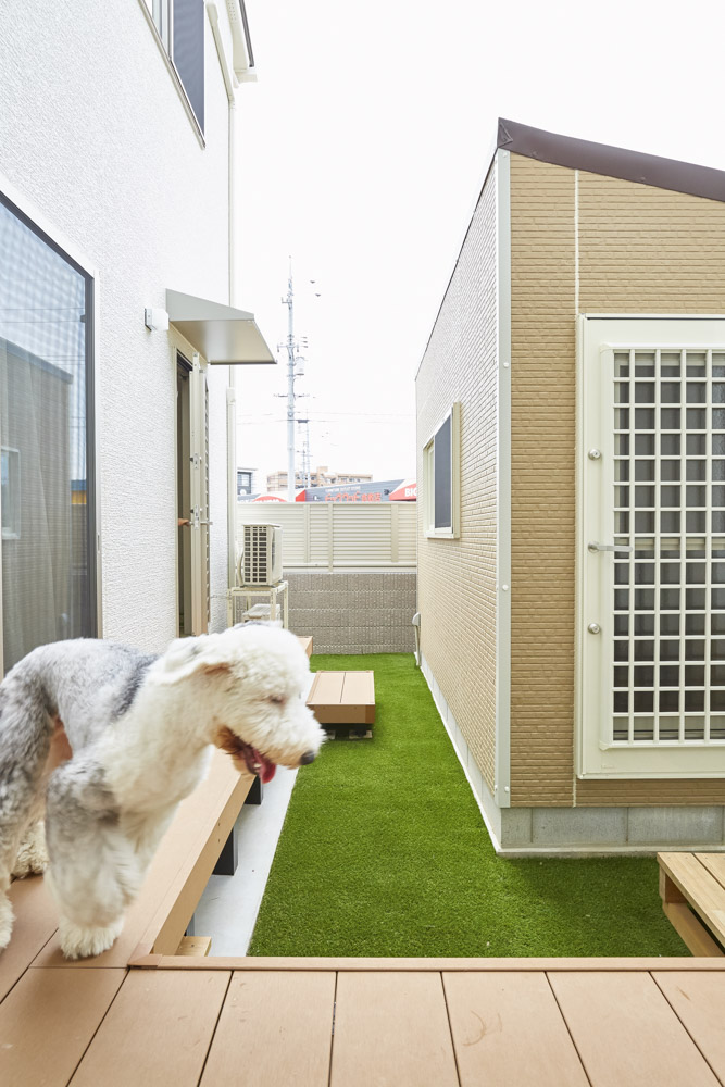 開放的に暮らすブリーダーさんの家