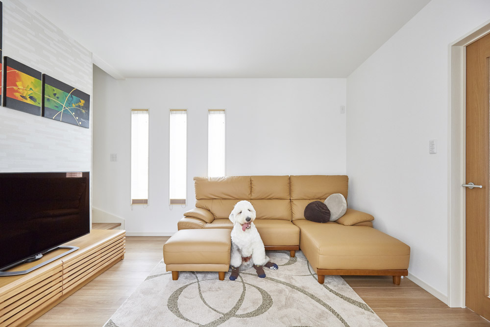 開放的に暮らすブリーダーさんの家