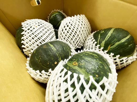 秋のもぎたて旬野菜！