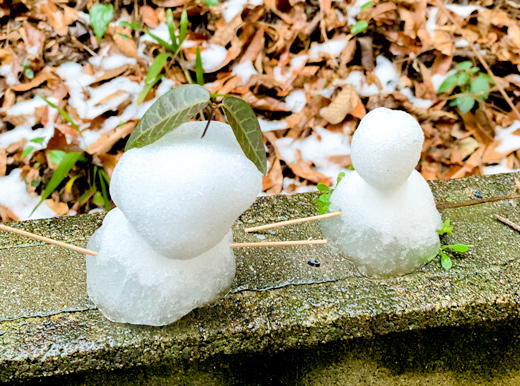 積雪とイベント情報