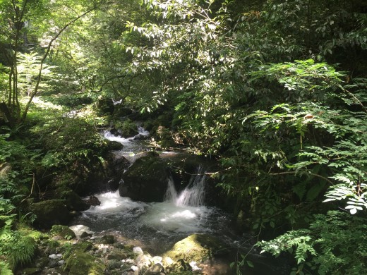 涼しい場所を求めドライブに