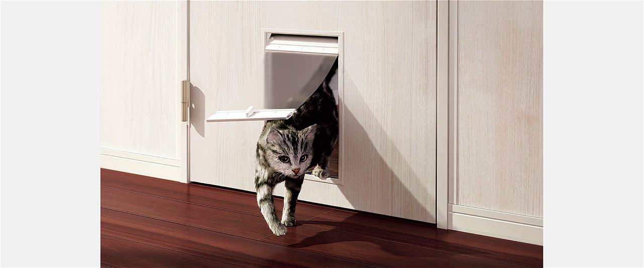 ペットがいる暮らしについて