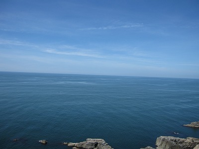 行ってきました