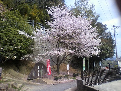 行ってきました！千光寺in尾道