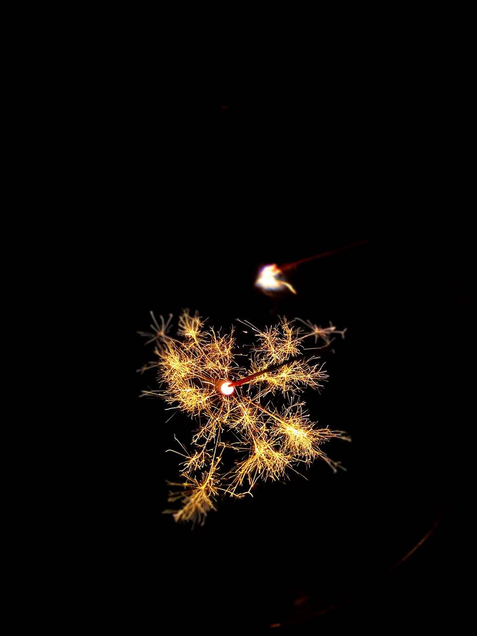 夏祭りも花火大会もない夏