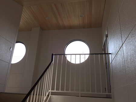 蝉が鳴いてます(~_~)