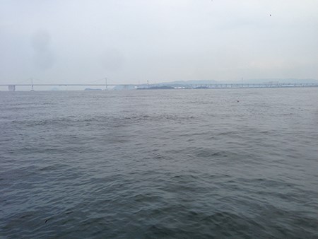 イイダコ＆happy birthday