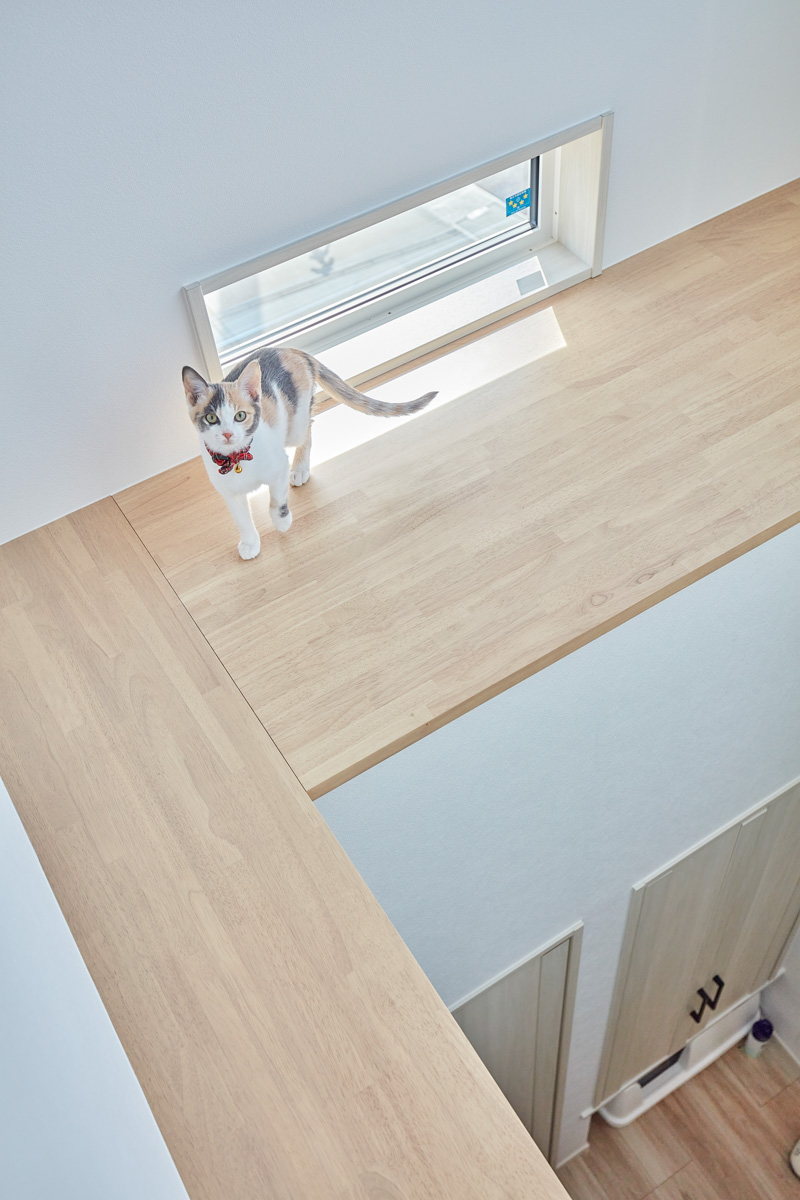 にゃんこと暮らす吹き抜けのある家