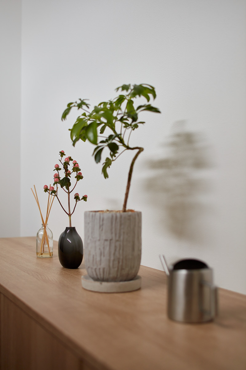 上質な寄棟とHINOキッチンの家