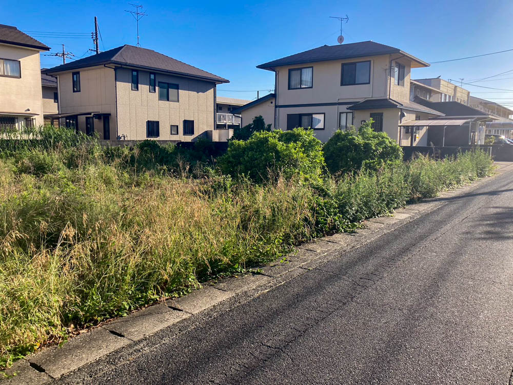 草刈りビフォーアフター