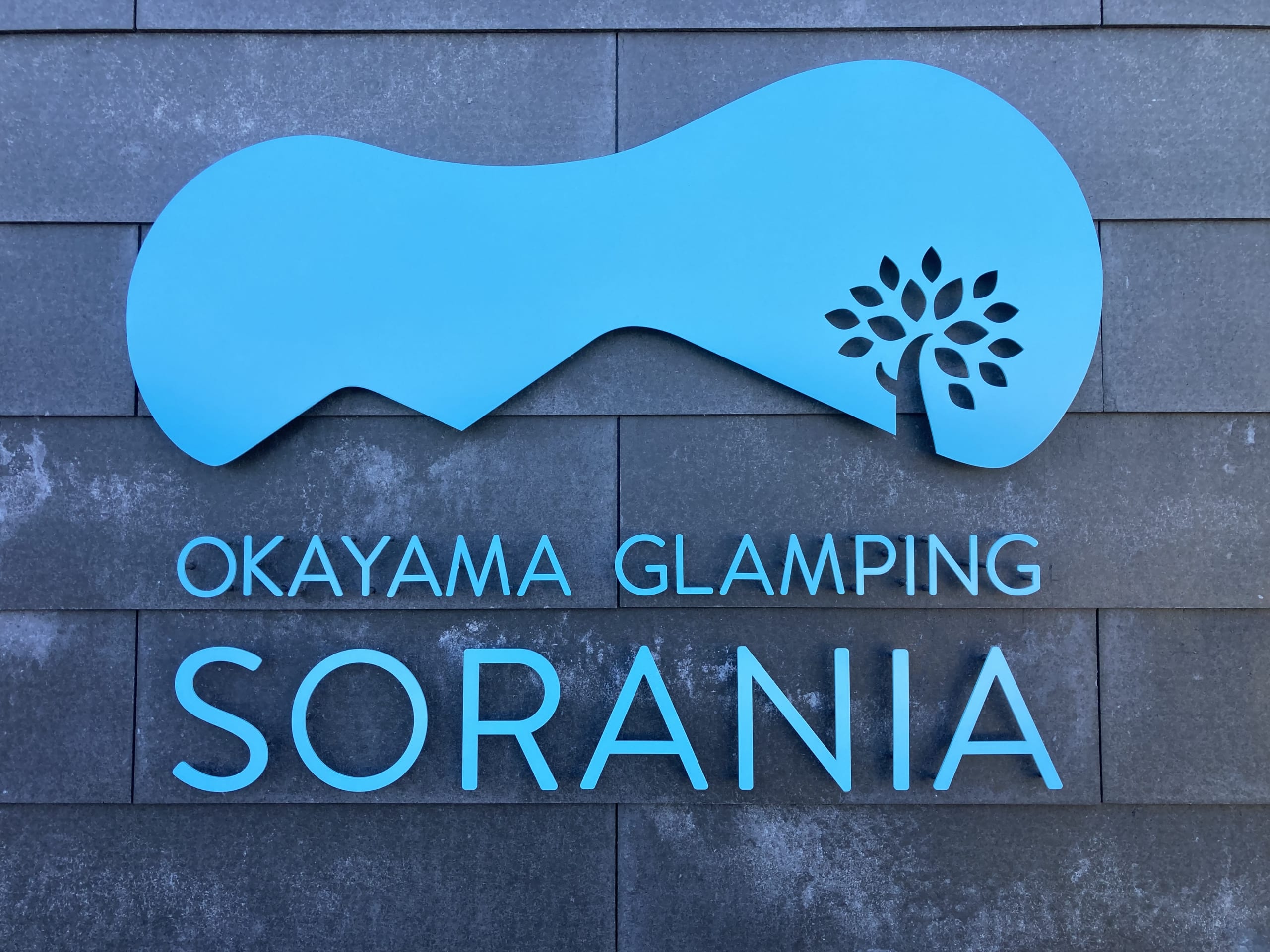 お客様感謝祭を開催しました