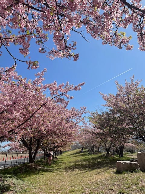 ブログデビューです！