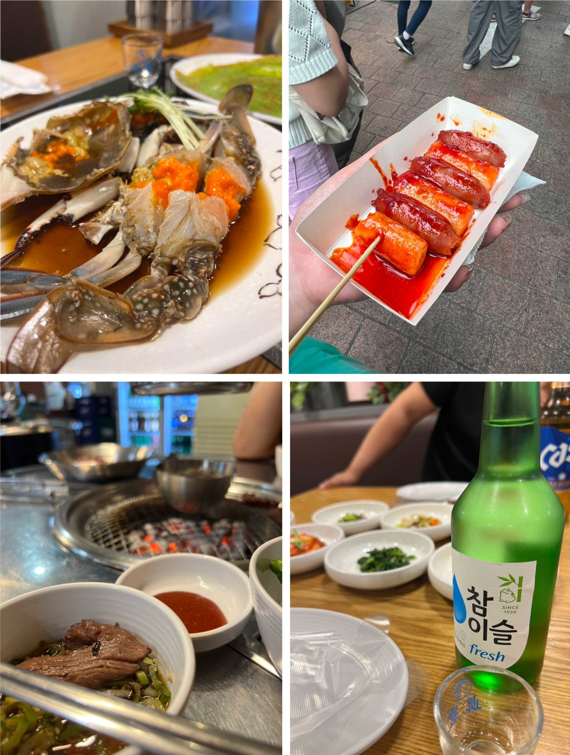 【韓国編】旅行大好き人間、枝松です