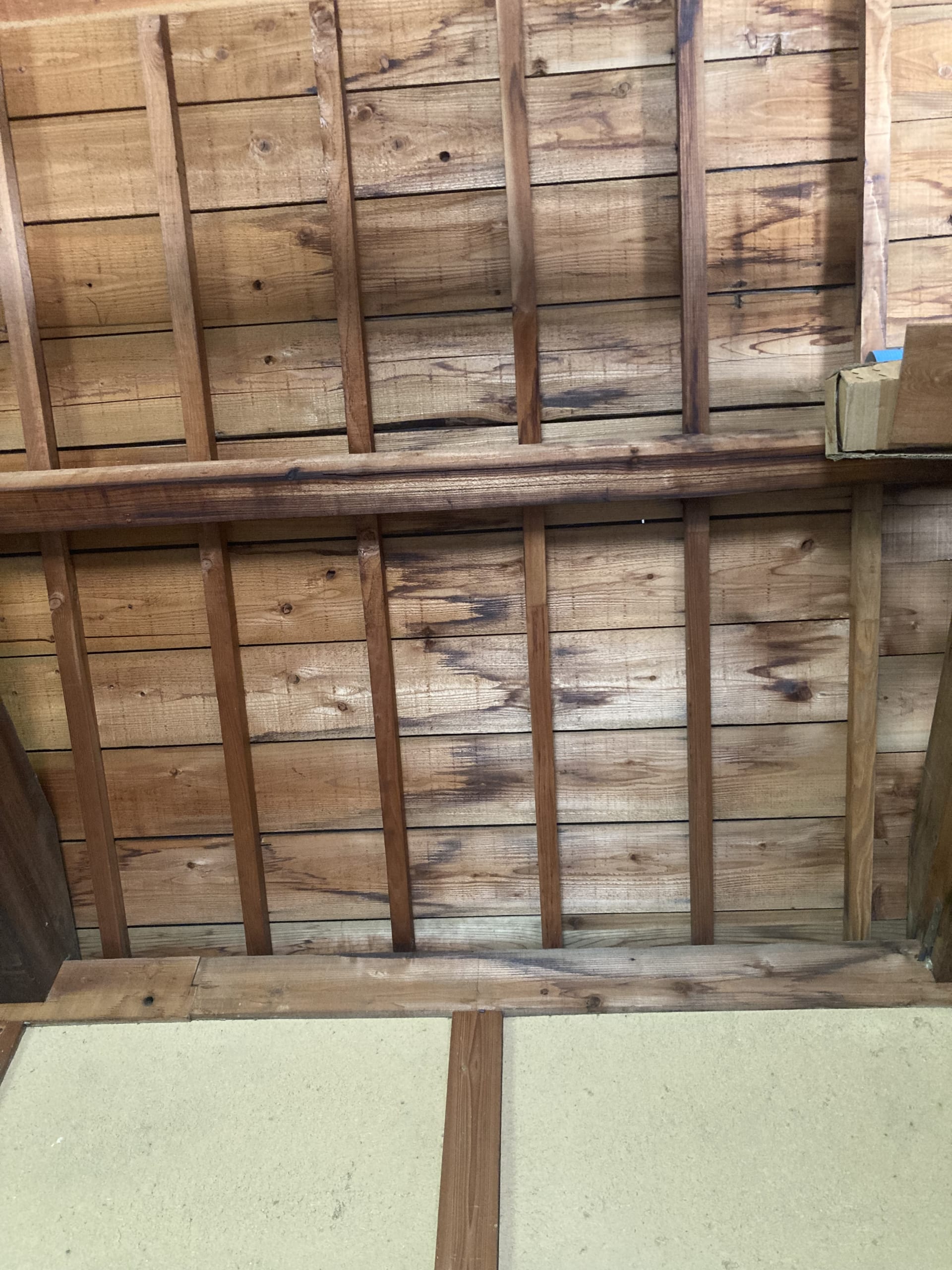 I want to help people