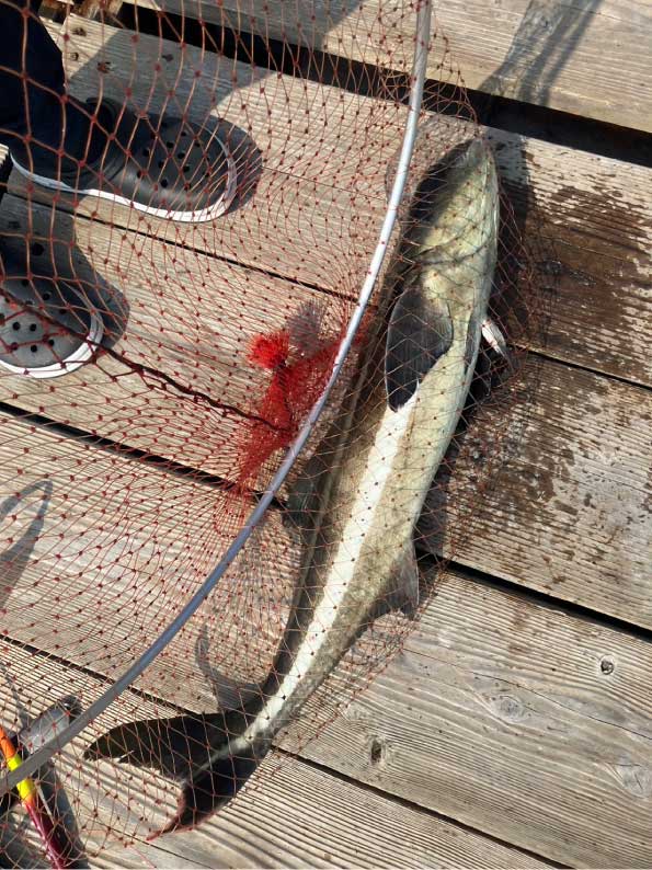 釣り堀へ行ってきました