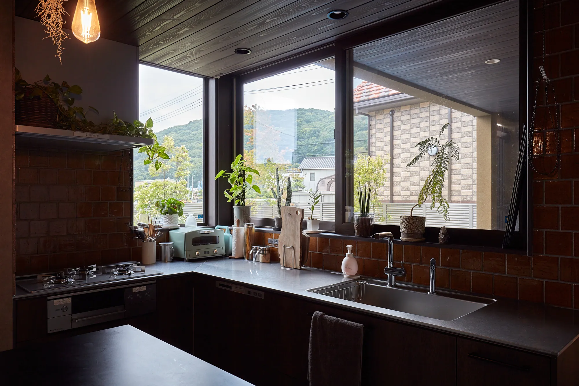 自然と調和する、ワンちゃんと過ごす家