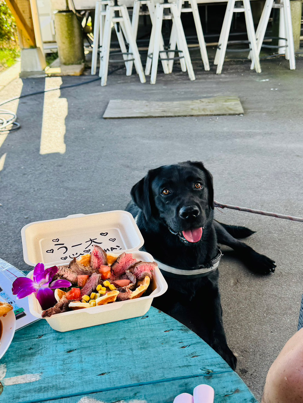 休日のおでかけ～玉野のドッグランへ～