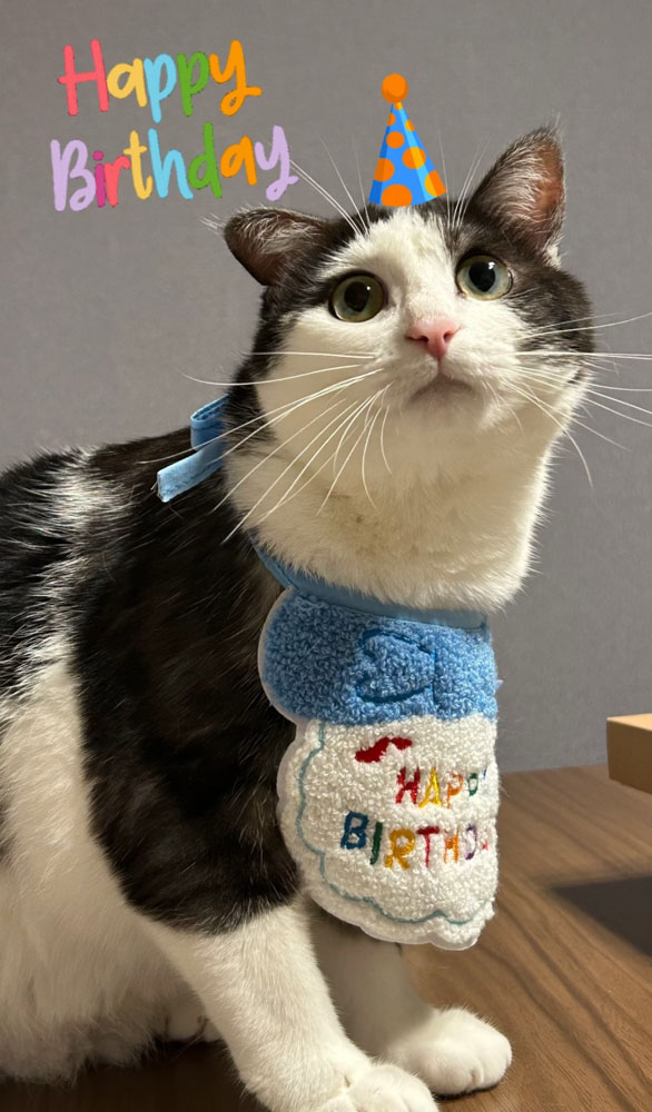 ㊗️1歳の誕生日㊗️