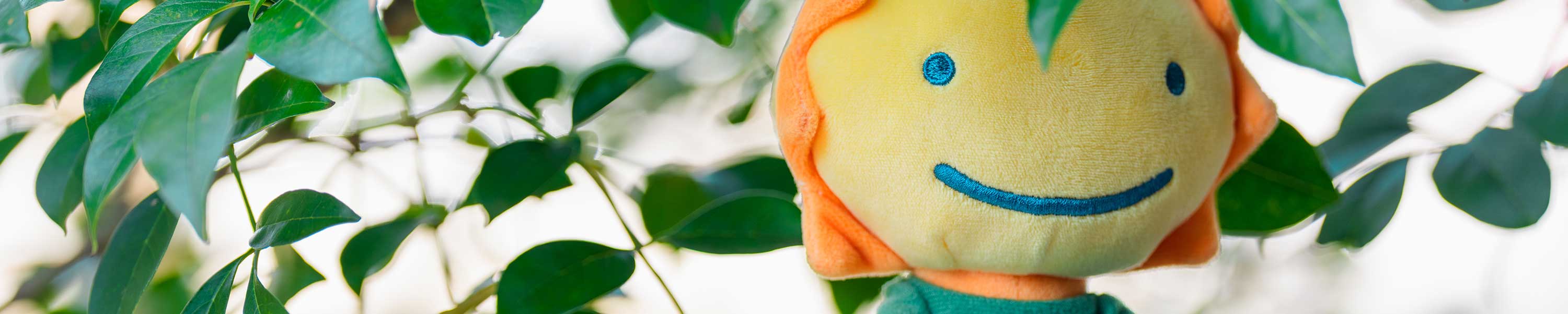 ひのきちゃんねる