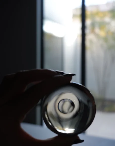 玉脚グラスにヒヤシンスを入れたら可愛かったので