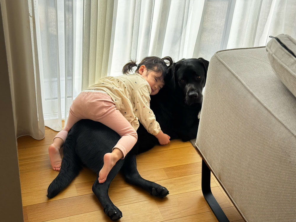 子どもと犬と暮らして気づいた、家づくりで大事なこと