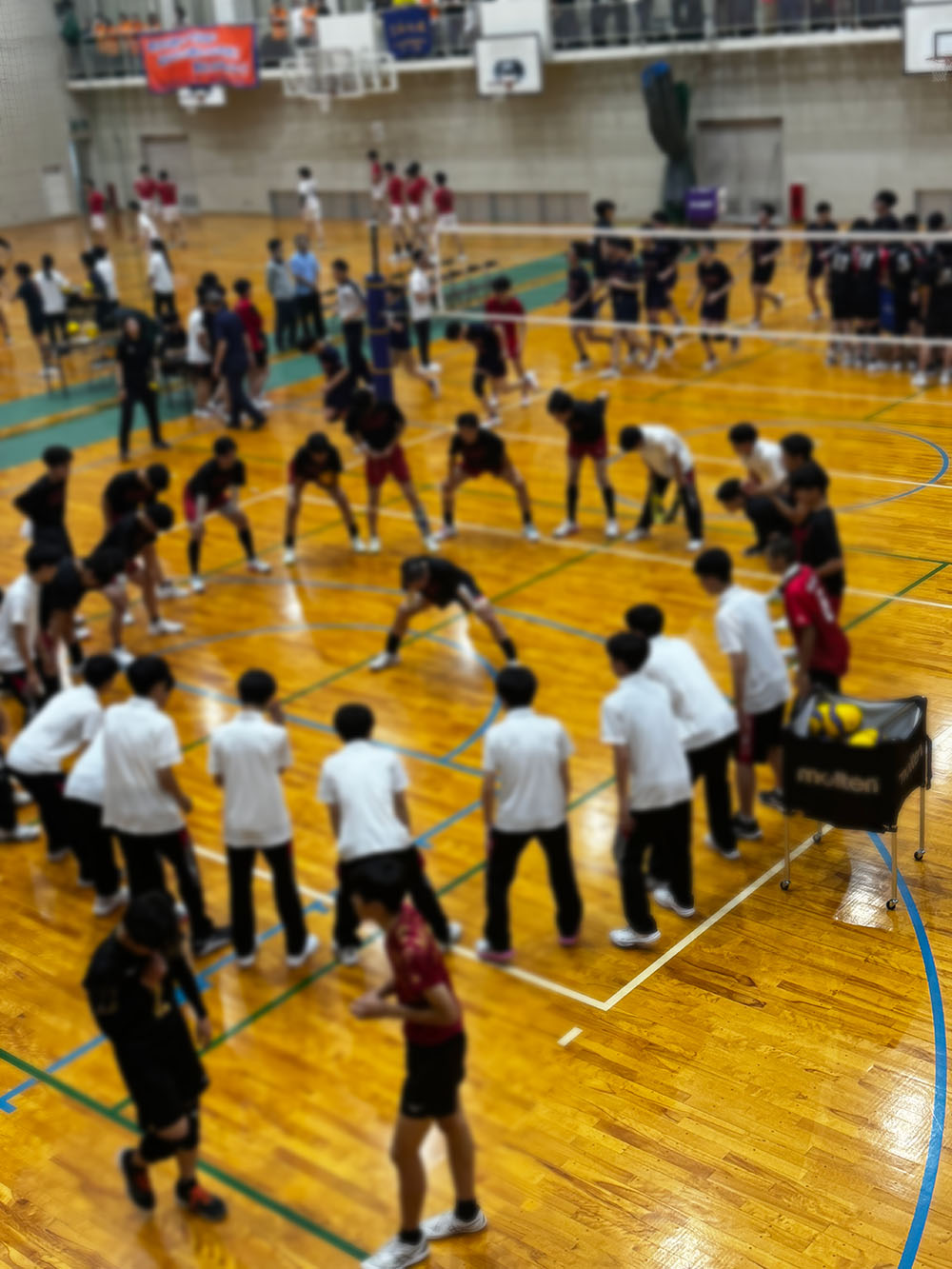 試合観戦