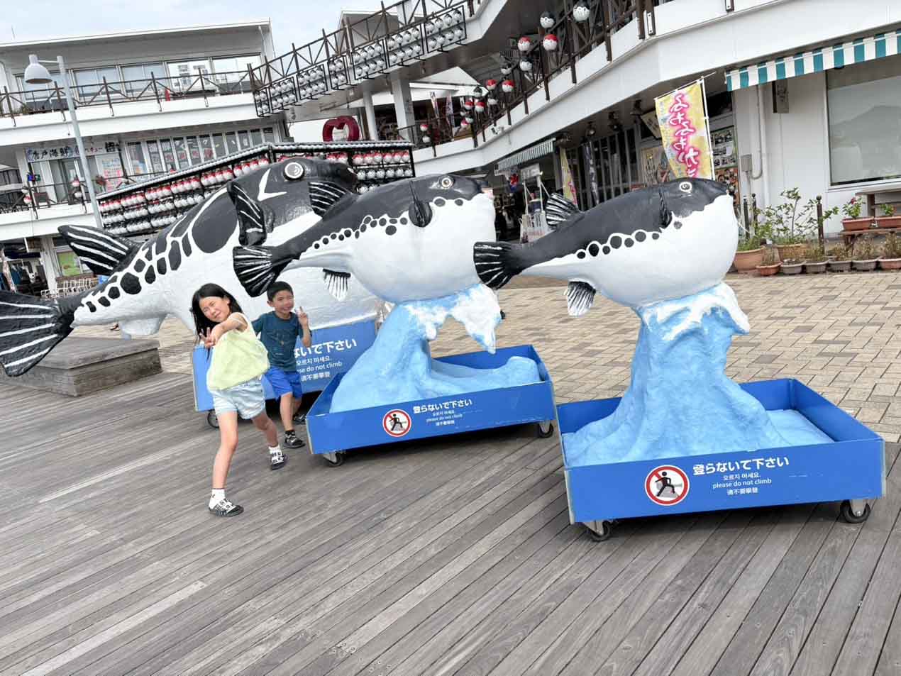 三宅家放浪記～🐡山口🐡～